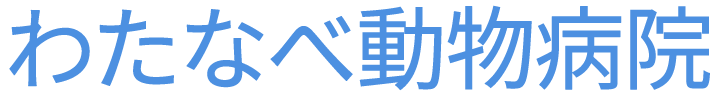 わたなべ動物病院